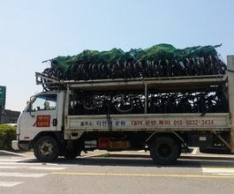 단체대여도 하고있어요.