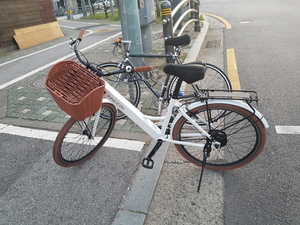 광진구에서 자전거 대여 동호회 부부동반 자전거라이딩