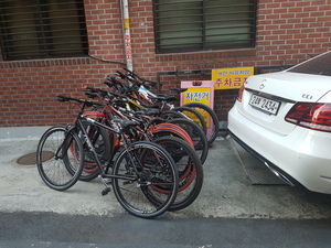 모 여행사에서 단체자전거대여 반포대교남단 세빗섬앞 주차장서 출발!! Group bicycl