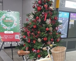 비티지 클래씩 여성용자전거(촬영용)