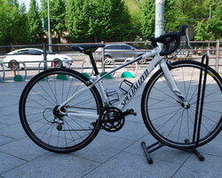 Specialized Elite 